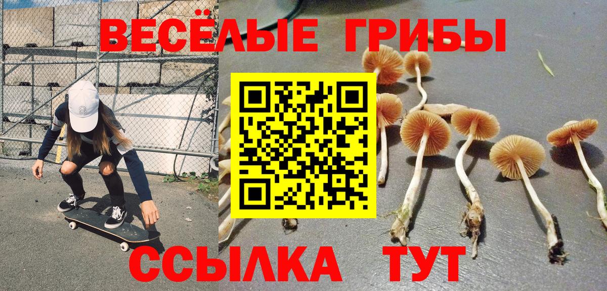 Галлюциногенные грибы GOLDEN TEACHER  наркота  Дербент  Вход с VPN 